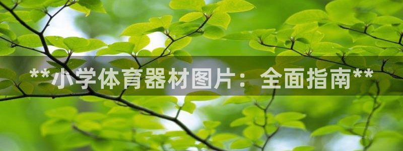 极悦平台官方网站登录