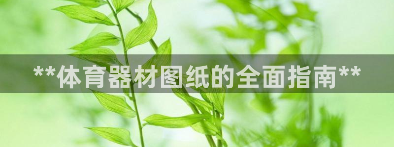 极悦娱乐官方网站入口