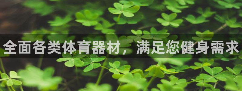 极悦平台有风险吗：全面各类体育器材，满足您健身需求