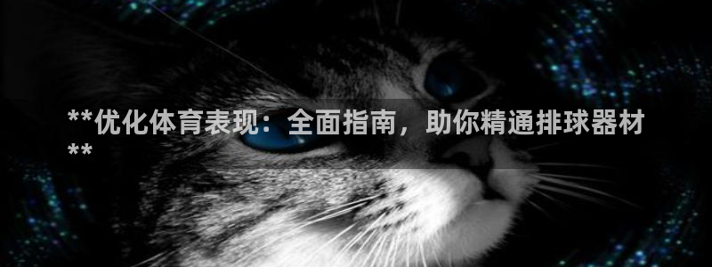 极悦平台官方网站是什么：**优化体育表现：全面指南，