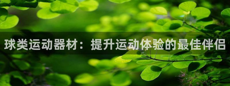 极悦平台官网入口登录:球类运动器材:提升运动体验的最佳伴侣