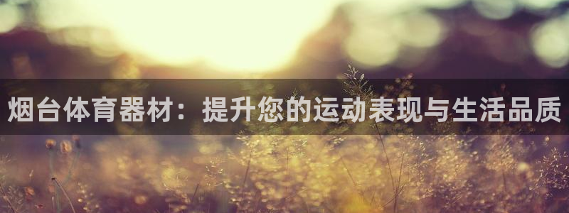 极悦娱乐股东结构:烟台体育器材:提升您的运动表现与生活品质