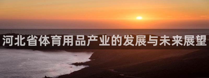 极悦官方网站入口网址是什么:河北省体育用品产业的发展与未来展
