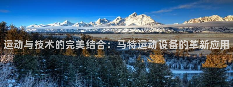 极悦平台安全吗可靠吗:运动与技术的完美结合:马特运动设备的革